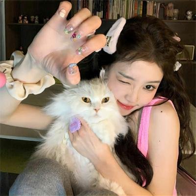 顽将飞渡娘子关